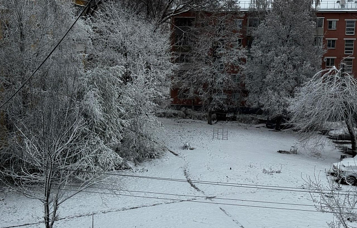 Тулу замело снегом в конце апреля