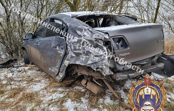 В Узловском районе 12-летняя девочка попала в больницу после ДТП