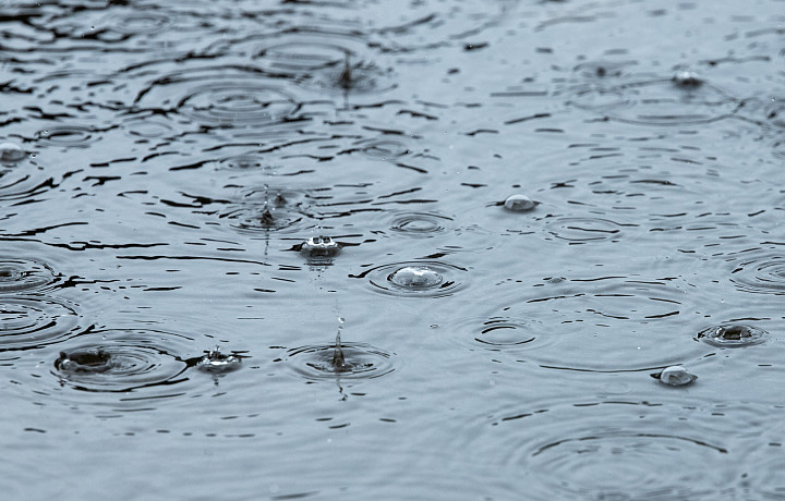 Дожди и до +4 градусов тепла ожидаются в Туле и области 9 октября