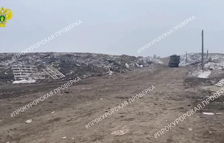 Дело о закрытии мусорного полигона в Новомосковске приостановлено