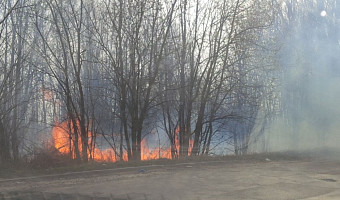 Сводка происшествий в Тульской области за прошлые сутки: девять пожаров и три ДТП