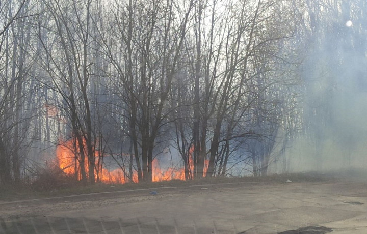 Сводка происшествий в Тульской области за прошлые сутки: девять пожаров и три ДТП
