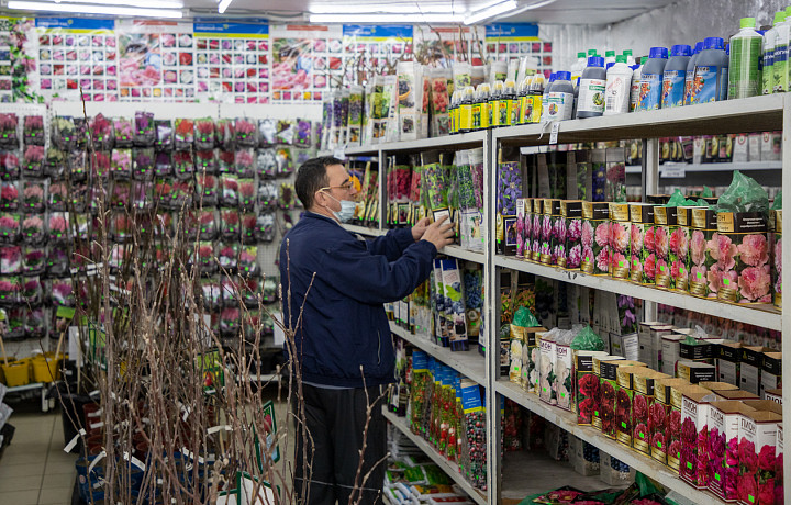 К апрелю все раскупят: садовод Ирина Ульянова объяснила, когда покупать саженцы и как сохранить их до начала сезона