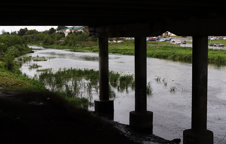 Губернатор назвал Упу болотом в центре Тулы: Каждый день заболоченность растет