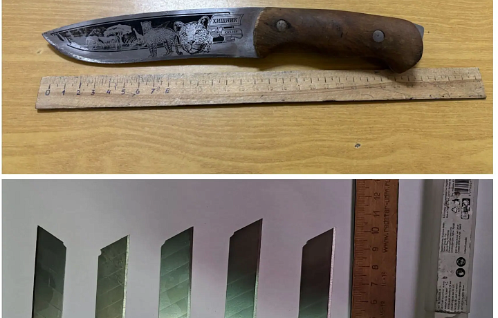 В Тульской области пресекли две попытки пронести запрещенные предметы в суды