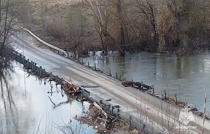 Три моста освободились от воды в двух тульских районах