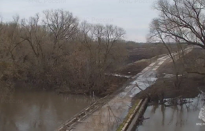 В Тульской области подтоплено 14 низководных мостов