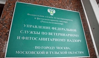 Россельхознадзор аннулировал декларацию на партию рапса ефремовского КФХ