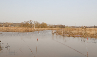 В реках Тулы ожидается подъём уровня воды из-за потепления