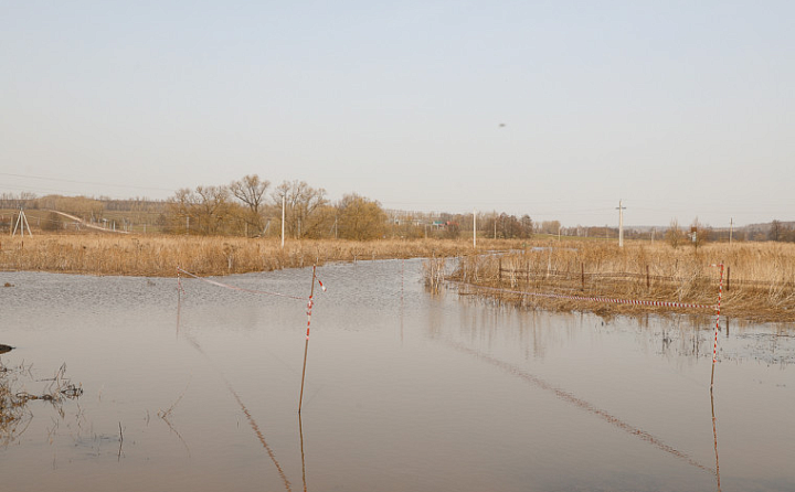 В реках Тулы ожидается подъём уровня воды из-за потепления