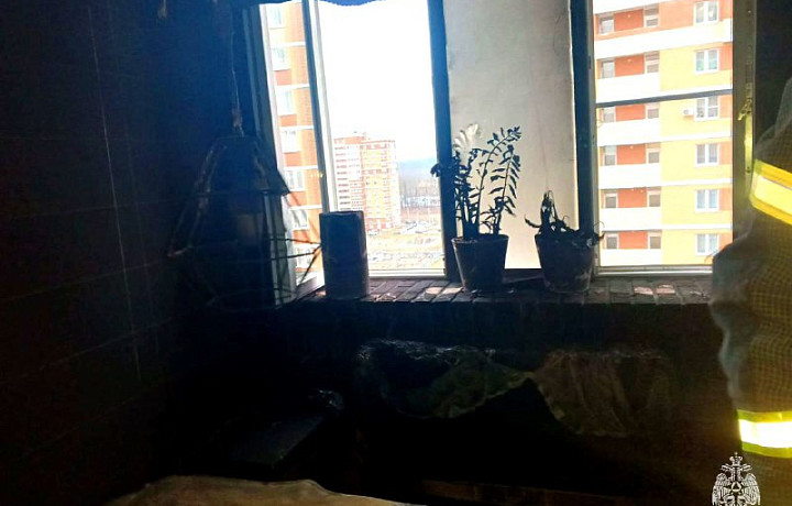 В Туле произошел пожар на 13 этаже многоэтажного дома