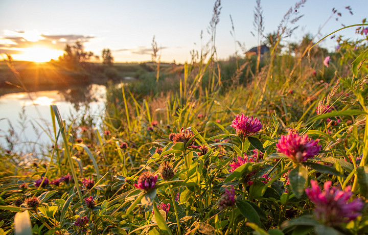 Жителей и гостей Тульской области приглашают на музыкальный фестиваль «Песни Бежина луга»