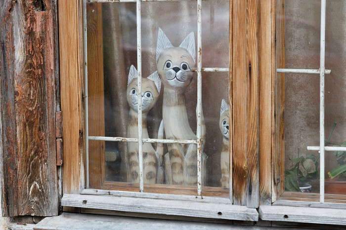 «Все это рухнет людям на голову»: Почему 70-летний разваливающийся деревянный дом по улице Шухова в Туле до сих пор не могут признать аварийным