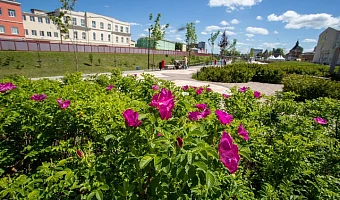 В Тульской области 24 августа будет теплая и сухая погода