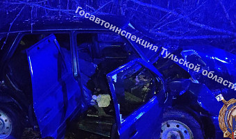 В Кимовском районе пожилой водитель «ВАЗа» попал в больницу после ДТП со столбом