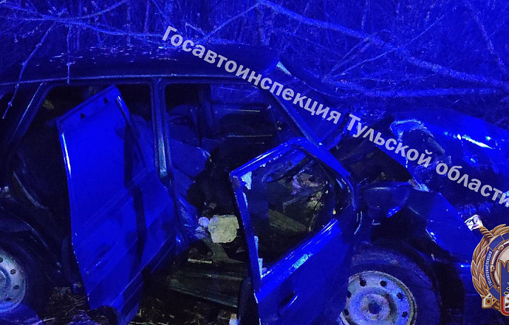 В Кимовском районе пожилой водитель «ВАЗа» попал в больницу после ДТП со столбом