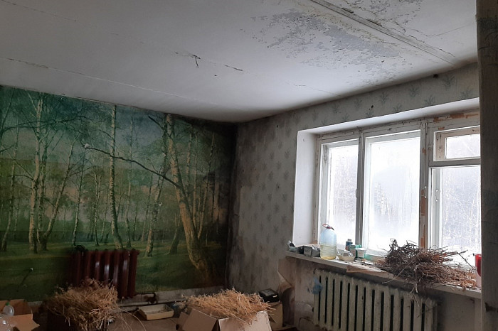 Остались стеклоблоки, граненые стаканы, фотообои и бюст Ленина: под Тулой продают заброшенную советскую спортбазу