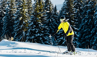В тульском лыжероллерном центре «Веденино» 7 марта пройдет «Ночная лыжная гонка»