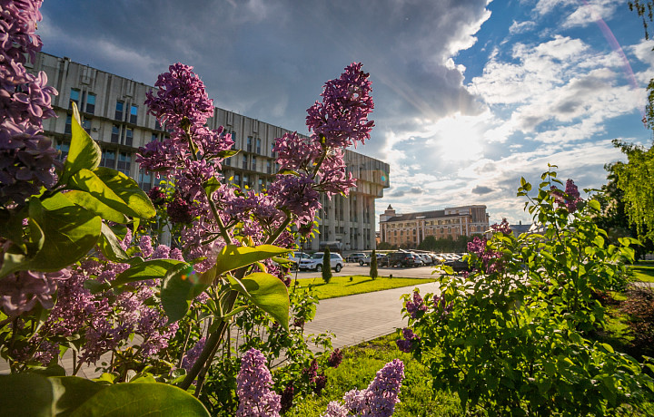 Пасмурно и до +25: стал известен прогноз погоды в Тульской области на субботу, 26 июля