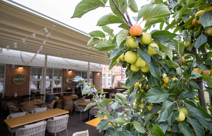 Суббота станет самым солнечным днем недели – в Тульской области потеплеет до +20 градусов