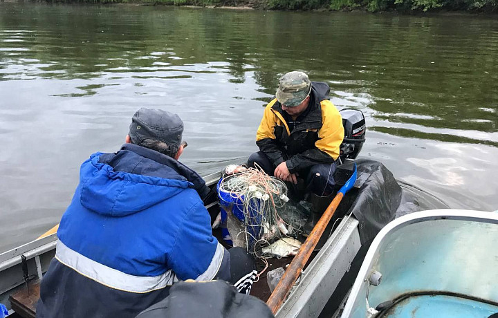 Двое жителей Алексина незаконно вылавливали рыбу в акватории реки Оки