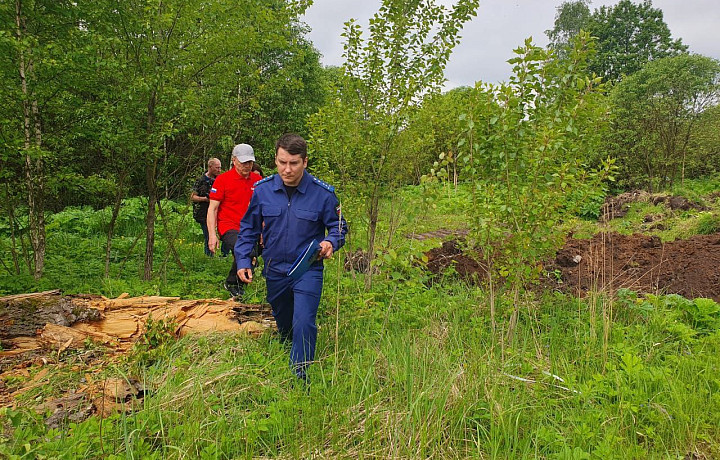 Тульская природоохранная прокуратура выявила несанкционированную свалку в лесополосе