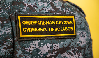 С начала года тульские приставы выдворили 338 нелегальных мигрантов