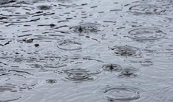 В Тульской области в выходные ожидаются дожди и похолодание