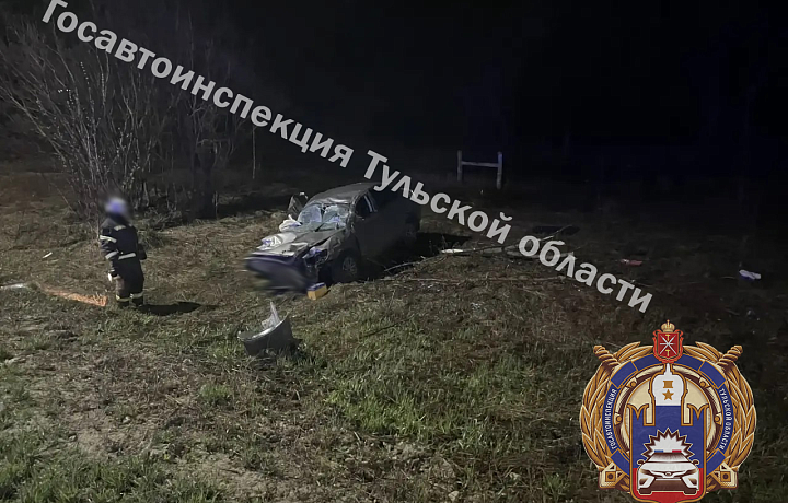 В Дубенском районе в ДТП с перевертышем пострадали парень и маленькая девочка