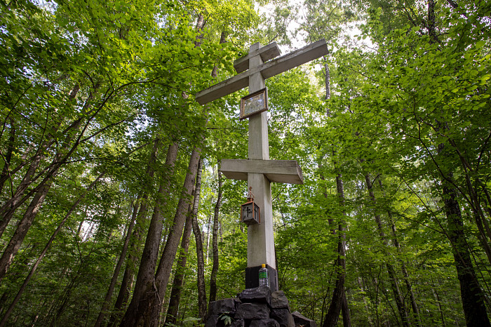 Фоторепортаж из Тесницого леса: как выглядит расстрельный полигон под Тулой