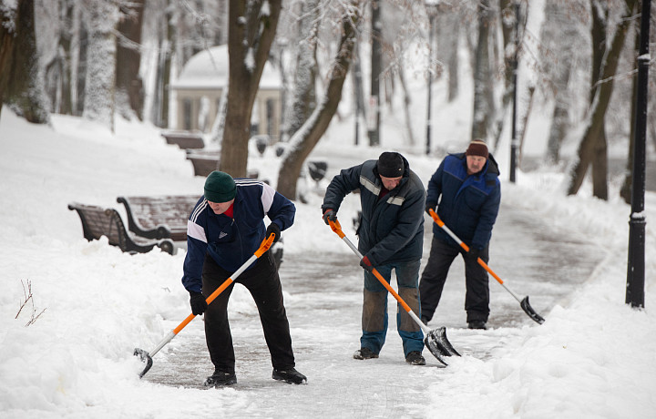 Снегопад придет в Тульскую область к вечеру 3 февраля
