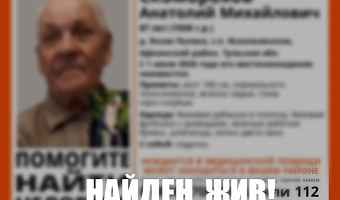 Пропавший в деревне Ясная Поляна 78-летний пенсионер найден живым