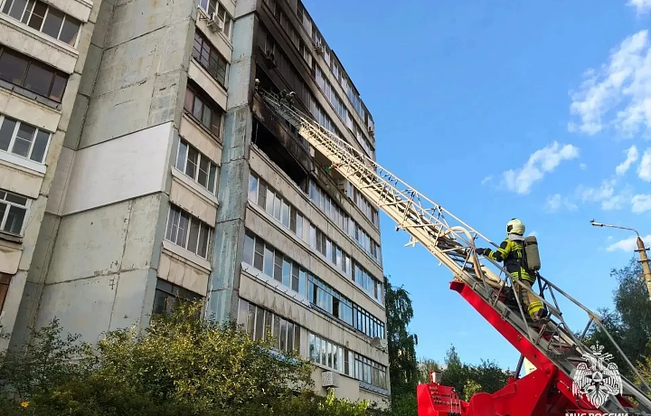 За неделю в Тульской области спасатели выезжали на происшествия 451 раз