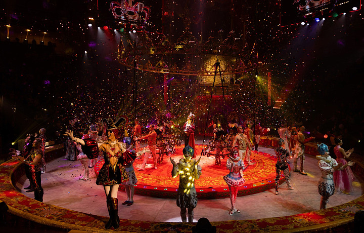 Золотой замок, летающий тигр и три часа впечатлений – что еще привезет этой осенью в Тулу заслуженный артист России Гия Эрадзе