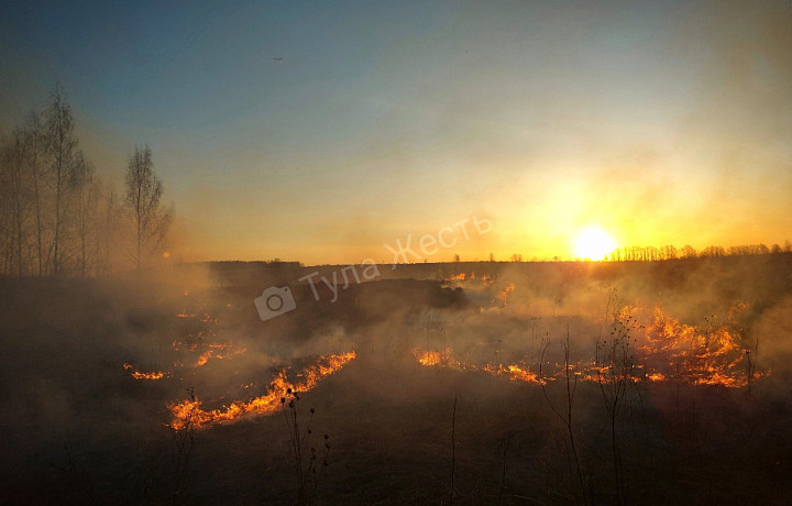 Трава загорелась в тульском поселке Шатск