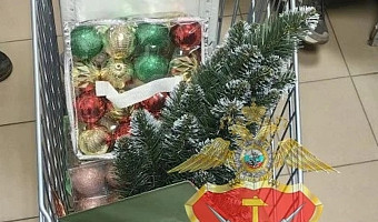 «Хотел создать себе новогоднее настроение»: туляка задержали за кражу ёлочных украшений
