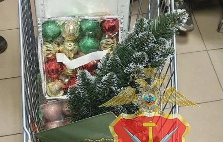 «Хотел создать себе новогоднее настроение»: туляка задержали за кражу ёлочных украшений