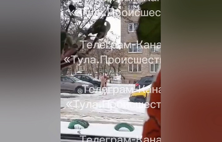 ﻿В Щекино заметили обнаженного мужчину, бегающего по двору