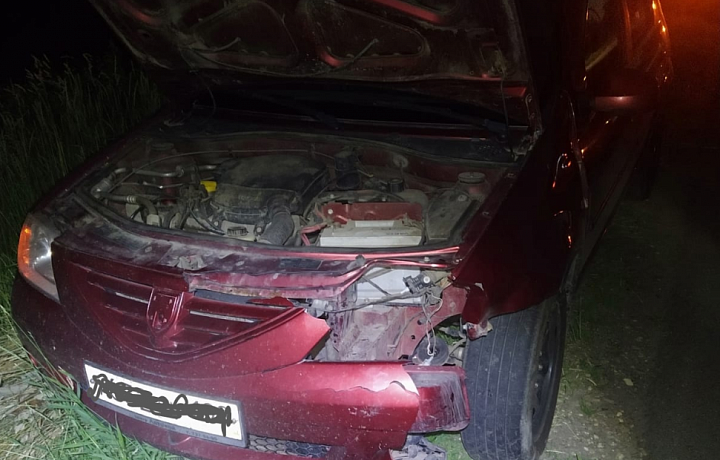 В Чернском районе водитель Renault сбил косулю
