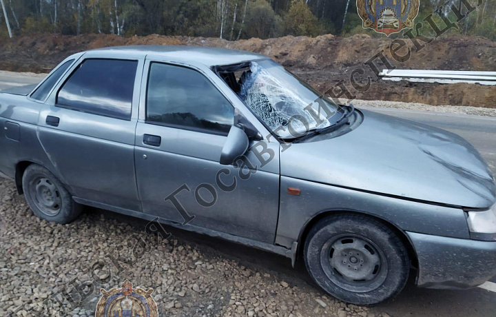 Пешеход попал в больницу после аварии в Дубенском районе