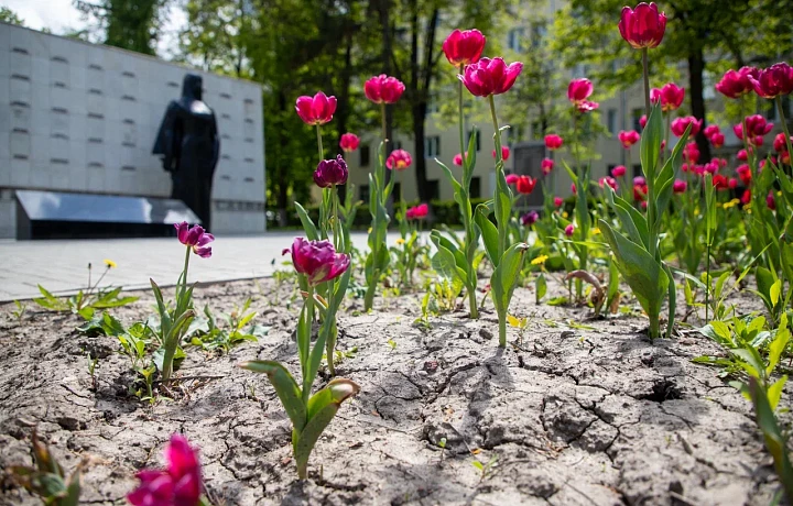 В Тулу придет засуха из-за дефицита дождей в июле