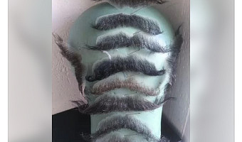 Аренда котоловки, накладные усы и магия: какие услуги предлагают туляки на сайте объявлений