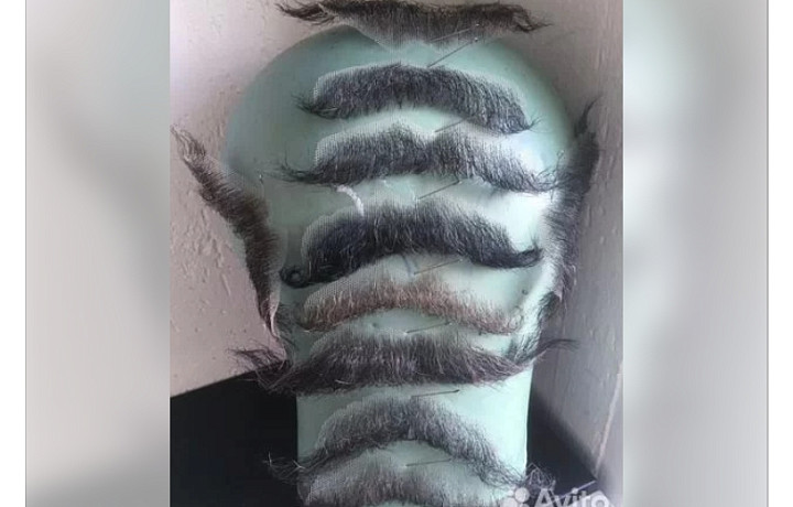 Аренда котоловки, накладные усы и магия: какие услуги предлагают туляки на сайте объявлений