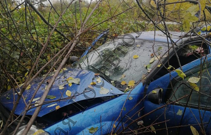 В Тепло-Огаревском районе перевернулся Renault Logan: пострадали четыре человека ﻿