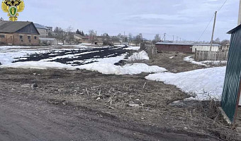 Администрацию обязали ликвидировать свалку в Каменском районе