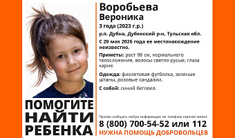 Трёхлетняя девочка пропала в тульском посёлке Дубна