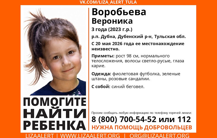Трёхлетняя девочка пропала в тульском посёлке Дубна