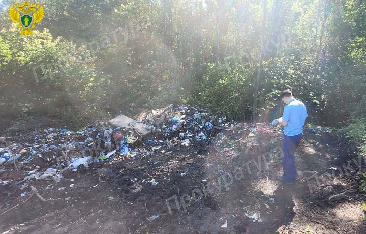 Прокуратура начала проверку после обнаружения несанкционированной свалки в поселке Косая Гора