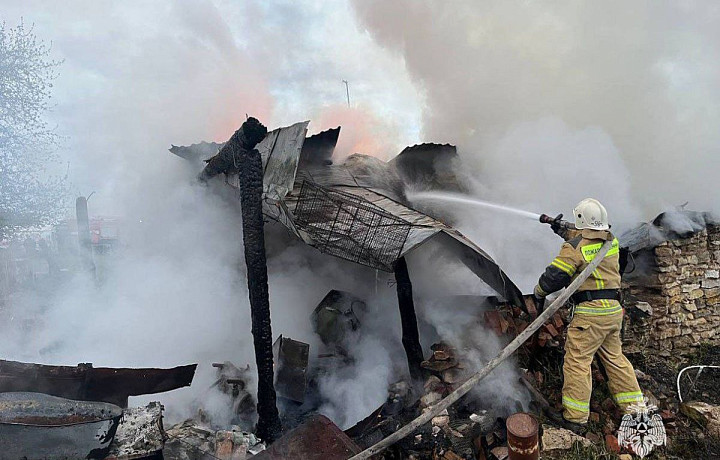 Тульские спасатели потушили два пожара 9 мая