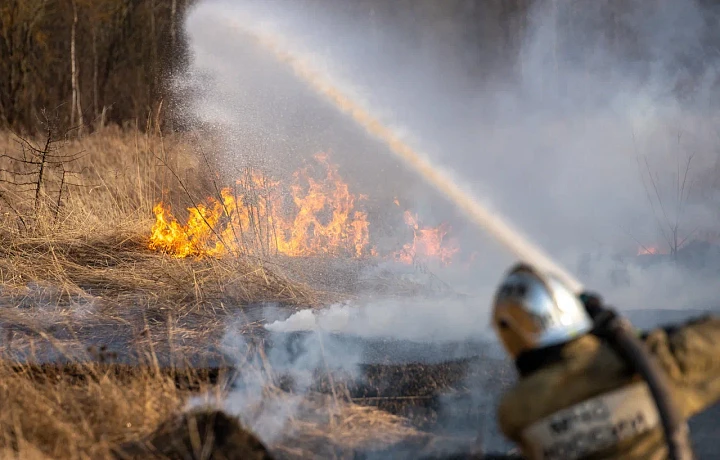 В Тульской области ужесточат меры пожарной безопасности